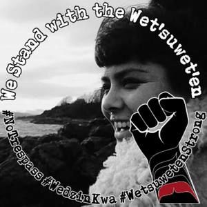 Meet your Posher, Peyton